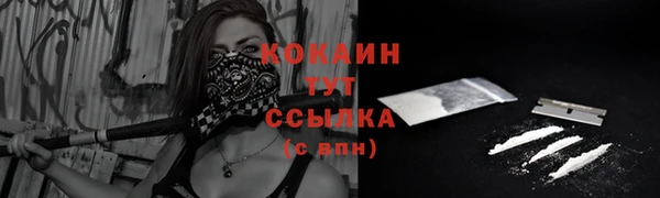 гидра Алзамай