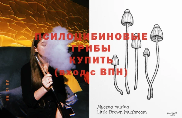 гидра Алзамай