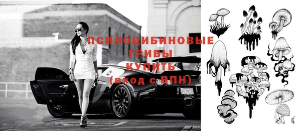 спиды Аркадак