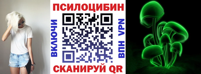 МЕГА сайт  Болотное  Псилоцибиновые грибы ЛСД  купить наркотики цена 